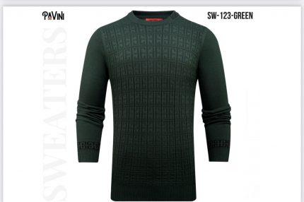 #123 GREEN SWEATER PAVINI